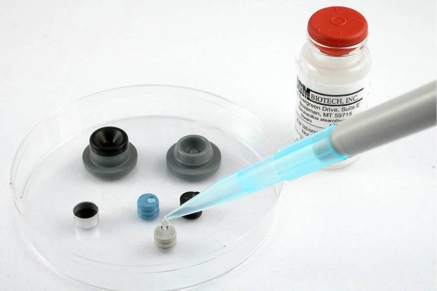 Direct Inoculations